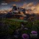 Dreams Single