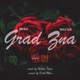 Grad Zna feat Nikola Tasic Single