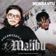 Malibu feat Wally A M Single