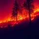 Wildfire Single