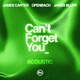 Can t Forget You feat James Blunt Acoustic Single