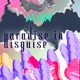 Paradise in Disguise Single