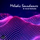 Melodic Soundwaves Vocal Textures