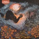 Rambutan Shadow Veil Lullaby Single