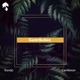Contribution Single