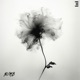 Numb Single