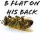B Flat On His Back Single