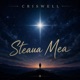 Steaua Mea Single