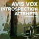 Introspection Attempts EP