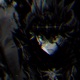 Black on Black Single