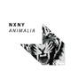 Animalia Single