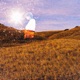 Grain Single