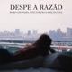 Despe A Razão Single