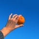ORANGES Single