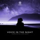 Voice in the Night Single