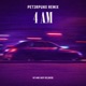 4AM PET3RPUNX REMIX Single