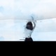 In the Water Single