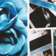 Blue Suede Rose Ballad Single