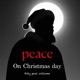 Peace on Christmas day Single