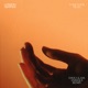 Lose Your Head Dave Glass Animals Remix Single
