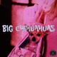 BIG CHIHUAHUAS Single
