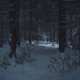 lonely Single