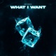 What I Want Single