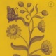 Marigold Single