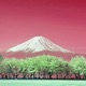 Blossom Phonk Slowed Single