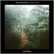 The Mountain Blakkat Dub EP