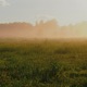 Golden Hour Single