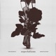 Expectations Single