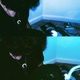 Morphia EP