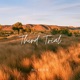 Third Trial Single