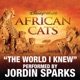 The World I Knew From Disneynature African Cats Single