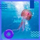 Jello Fi Single