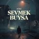 Sevmek Buysa Single