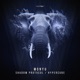 Shadow Protocol Hypercube Single
