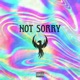 Not Sorry Single