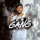 É a Gang feat DJ Marcus Vinicius Single