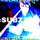 SUBZ3R0