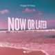 Now Or Later Single