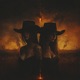 Cowgirls Single