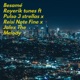 Besamé feat Pulso 3 strellas Reisi Note Fine Jalex The Melody Single