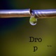 Drop Single