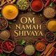 OM NAMAH SHIVAYA Electronic Single
