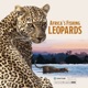Africa s Fishing Leopards Music from the Original TV Show
