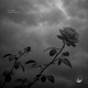 Amid Thorns EP
