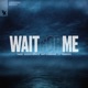 Wait for Me feat Goody Grace Ant Clemons Remixes EP