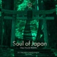 Soul of Japan Van Hoick Remix Single